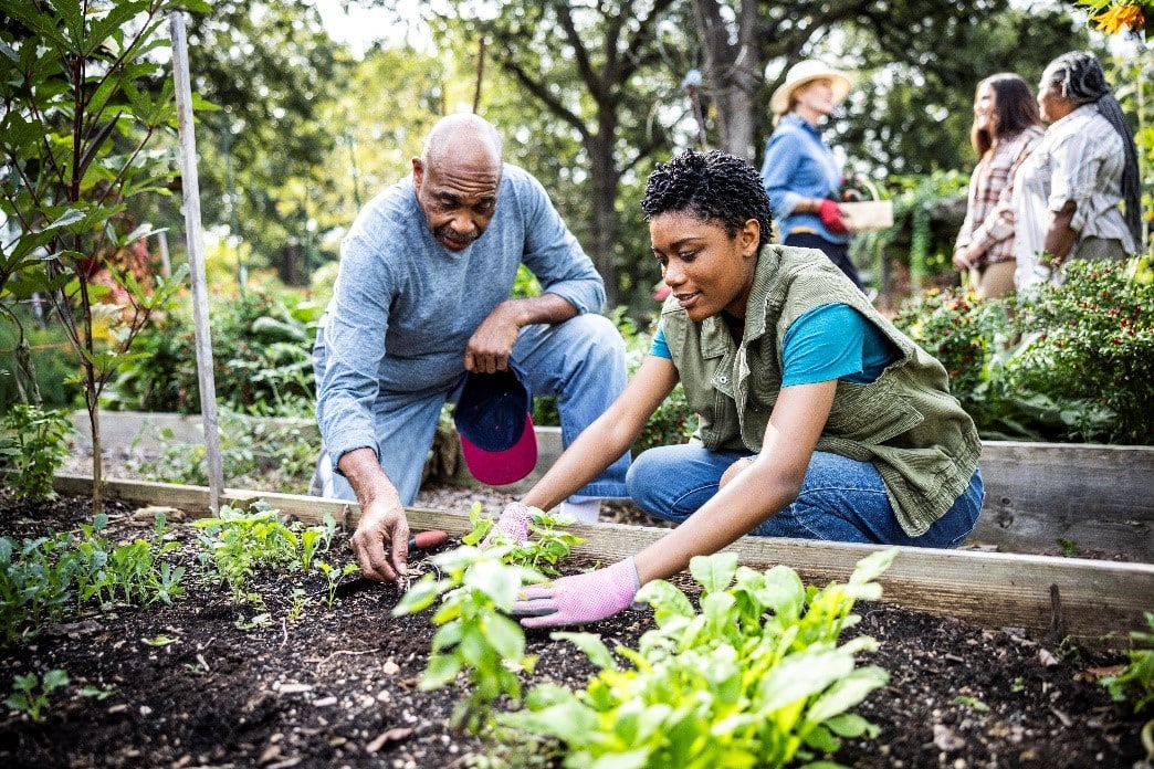 Group of individuals planting in a community garden