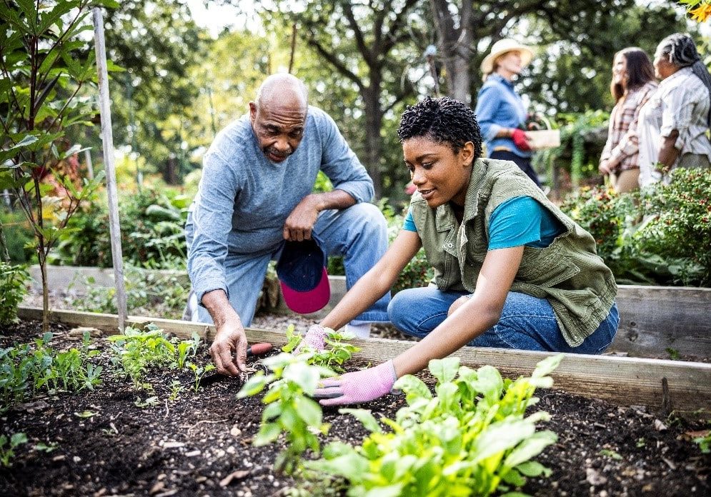 Group of individuals planting in a community garden